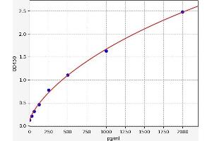 Interleukin 12 alpha (IL12A) ELISA Kit