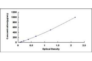 Typical standard curve (JAM3 ELISA Kit)