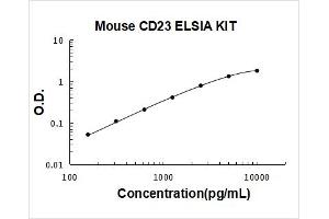 Mouse CD23/FCER2 PicoKine ELISA Kit standard curve