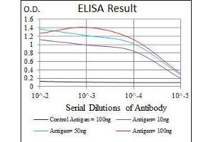 Black line: Control Antigen (100 ng), Purple line: Antigen(10 ng), Blue line: Antigen (50 ng), Red line: Antigen (100 ng), (EIF4B Antikörper)