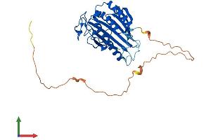 Protein Structure (PS) image for Phosphatidylinositol Transfer Protein, Cytoplasmic 1 (PITPNC1) (AA 1-332) protein (His tag) (ABIN7559582)