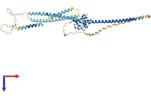 SCARA5 Protein (AA 1-495) (His tag)