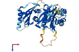 FUZ Protein (AA 1-418) (His tag)