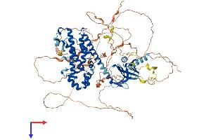 ARHGEF15 Protein (AA 1-849) (His tag)