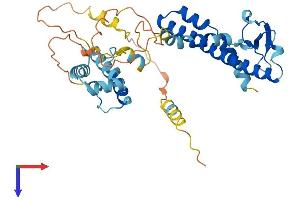 AlphaFold protein structure predicition of Human Recombinant DNAJC18 Protein, UniprotID Q9H819
