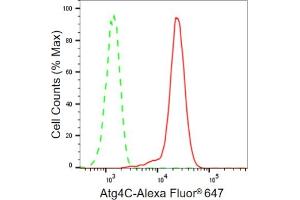 Flow cytometric analysis of Atg4C expression in HepG2 cells using Atg4C antibody (ABIN7797711), 1:2,000). (Rekombinanter ATG4C Antikörper)