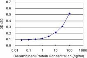 Sandwich ELISA detection sensitivity ranging from 3 ng/mL to 100 ng/mL.