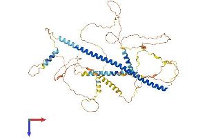HDAC9 Protein (AA 1-588) (His tag)