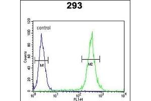 UNC13B Antibody (Center) (ABIN652852 and ABIN2842552) flow cytometric analysis of 293 cells (right histogram) compared to a negative control cell (left histogram). (UNC13B Antikörper  (AA 1062-1091))