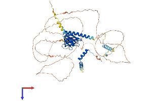 DCP1A Protein (AA 1-602) (His tag)