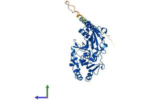 Protein Structure (PS) image for Fucosyltransferase 3 (Galactoside 3(4)-L-Fucosyltransferase, Lewis Blood Group) (FUT3) (AA 1-361) protein (His tag) (ABIN7547850)