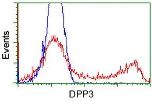 Flow Cytometry (FACS) image for anti-Dipeptidyl-Peptidase 3 (DPP3) antibody (ABIN1497831) (DPP3 Antikörper)