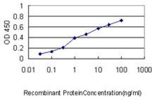 Detection limit for recombinant GST tagged LRRFIP1 is approximately 0. (LRRFIP1 Antikörper  (AA 1-105))