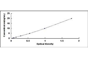 Typical standard curve (FLNC ELISA Kit)