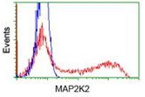 Flow Cytometry (FACS) image for anti-Mitogen-Activated Protein Kinase Kinase 2 (MAP2K2) antibody (ABIN1499476) (MEK2 Antikörper)