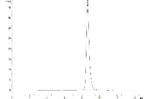 The purity of Human Rankl is greater than 95 % as determined by SEC-HPLC. (RANKL Protein (AA 63-244))
