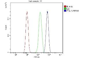 Flow Cytometry analysis of U20S cells using anti-CDK16 antibody (ABIN7601590).