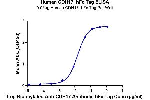 Immobilized Human CDH17, hFc Tag at 0. (LI Cadherin Protein (AA 23-787) (Fc Tag))