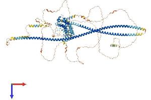 TSC1 Protein (AA 1-1161) (His tag)
