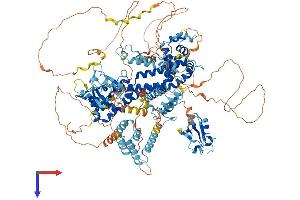 GRID2IP Protein (AA 1-1203) (His tag)