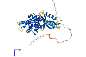 GAS2 Protein (AA 1-314) (His tag)