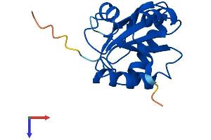TXNL4B Protein (AA 1-149) (His tag)
