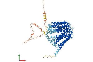 AlphaFold protein structure predicition of Human Recombinant SLC19A2 Protein, UniprotID O60779 (SLC19A2 Protein (AA 1-497) (His tag))