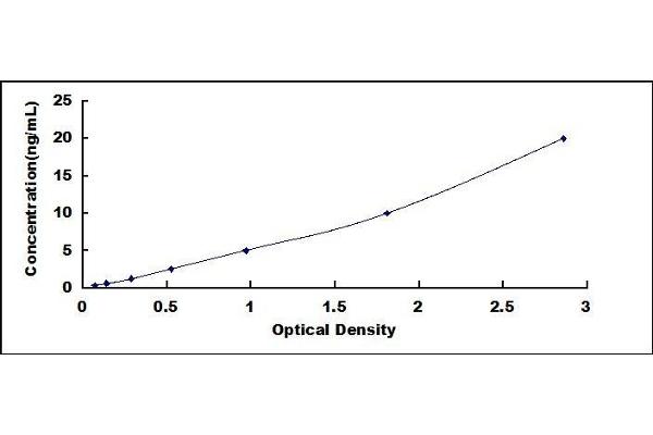 MMP8 ELISA Kit