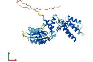 Protein Structure (PS) image for Replication Factor C (Activator 1) 4, 37kDa (RFC4) (AA 1-363) protein (His tag) (ABIN7551327)