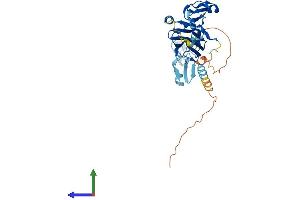 Protein Structure (PS) image for Integrin beta 1 Binding Protein (Melusin) 2 (ITGB1BP2) (AA 1-350) protein (His tag) (ABIN7561846)
