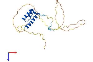 HOXB7 Protein (AA 1-217) (His tag)