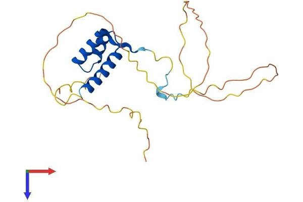 HOXB7 Protein (AA 1-217) (His tag)