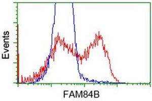 Flow Cytometry (FACS) image for anti-Family with Sequence Similarity 84, Member B (FAM84B) antibody (ABIN1498216) (FAM84B Antikörper)