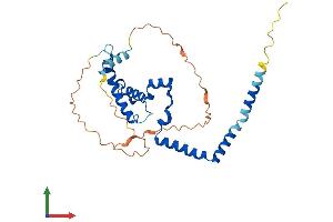 AlphaFold protein structure predicition of Human Recombinant IQCK Protein, UniprotID Q8N0W5