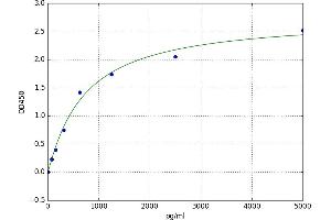 Quinolinate Phosphoribosyltransferase (QPRT) ELISA Kit