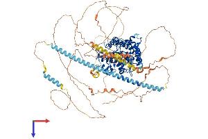 HDAC9 Protein (AA 1-1011) (His tag)