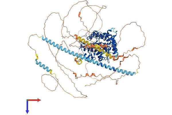 HDAC9 Protein (AA 1-1011) (His tag)