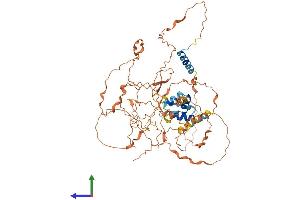 AlphaFold protein structure predicition of Human Recombinant FBXO46 Protein, UniprotID Q6PJ61