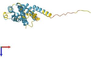 FADD Protein (AA 1-208) (His tag)