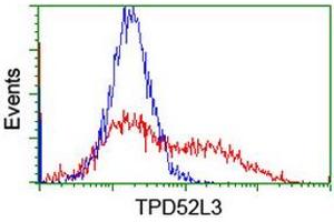 HEK293T cells transfected with either RC205471 overexpress plasmid (Red) or empty vector control plasmid (Blue) were immunostained by anti-TPD52L3 antibody (ABIN2455917), and then analyzed by flow cytometry. (TPD52L3 Antikörper)