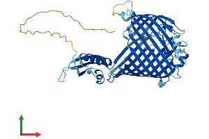 Protein Structure (PS) image for Sorting and Assembly Machinery Component 50 Homolog (SAMM50) (AA 1-469) protein (His tag) (ABIN7551687)
