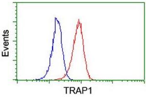 Image no. 2 for anti-TNF Receptor-Associated Protein 1 (TRAP1) antibody (ABIN1501499)