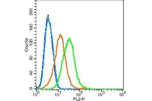Flow Cytometry (FACS) image for anti-Tyrosine Hydroxylase (TH) (AA 101-165) antibody (ABIN723635)