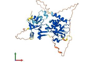 AlphaFold protein structure predicition of Mouse Recombinant Dusp4 Protein, UniprotID Q8BFV3