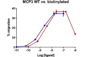 Cells expressing recombinant CCR2 were assayed for migration through the Transwell bare filter at various concentrations of MCP-3. (CCL7 Protein (AA 24-99))