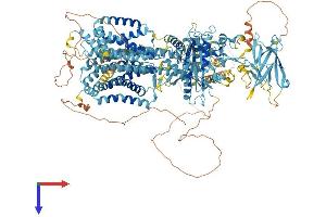 PTCHD2 Protein (AA 1-1392) (His tag)