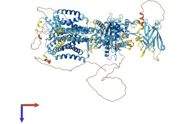 PTCHD2 Protein (AA 1-1392) (His tag)