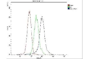 Flow Cytometry analysis of ANA-1 cells using anti-ARSA antibody (ABIN5692787). (Arylsulfatase A Antikörper  (C-Term))