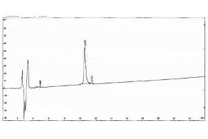 Image no. 2 for Urocortin 2 (UCN2) peptide (Ovalbumin) (ABIN5666403) (Urocortin 2 (UCN2) peptide (Ovalbumin))