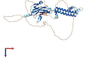 KCNJ3 Protein (AA 1-501) (His tag)